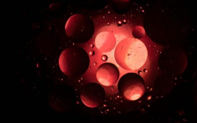 The Impact of Technology on Human Social Behavior